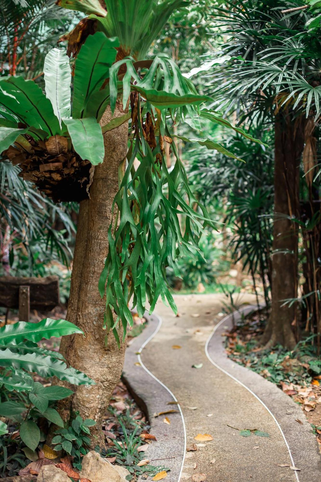 The Vatika Resort And Spa Ao Nang Екстер'єр фото